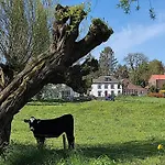 Cornfield Appartement Arnhem