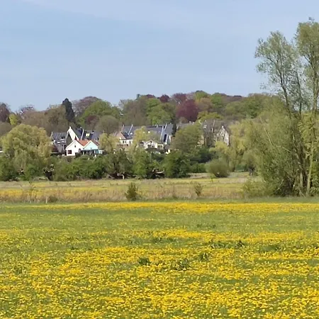 Apartament Cornfield
