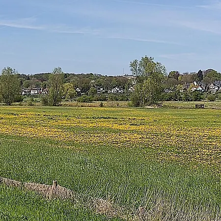 Cornfield * Arnhem