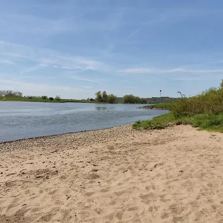 Cornfield アパート *