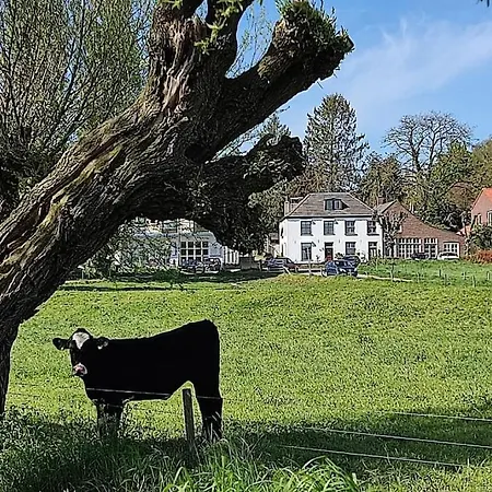 Cornfield アーネム