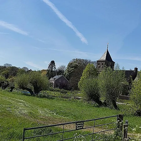 Cornfield アパート