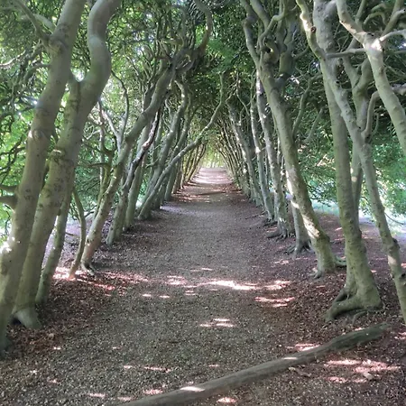 Апартаменты Cornfield *