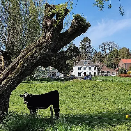 Cornfield Апартаменты Арнем