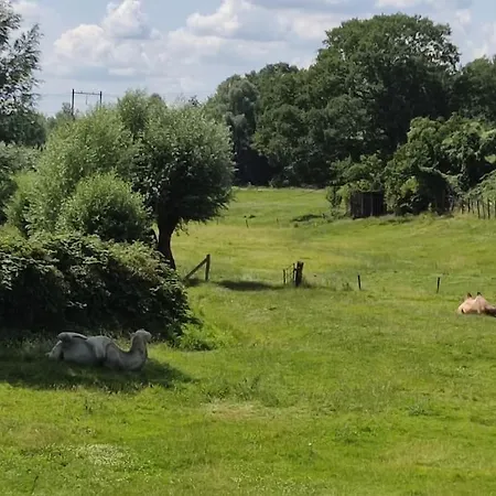 アパート Cornfield