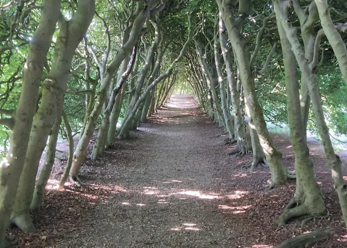 Appartamento Cornfield *