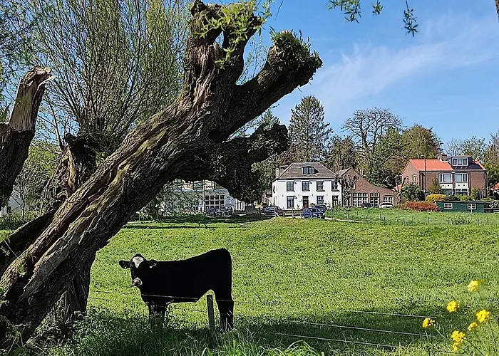 Cornfield דירה ארנהיים