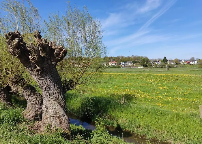 Cornfield דירה ארנהיים